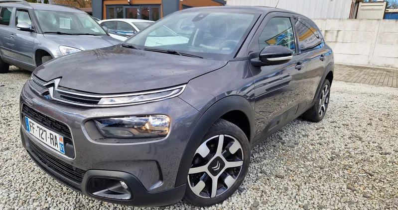 citroen lubuskie Citroen C4 Cactus cena 54900 przebieg: 35000, rok produkcji 2019 z Sulechów